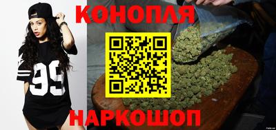 бошки Моздок