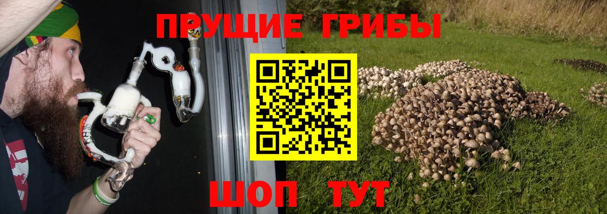 Псилоцибиновые грибы Psilocybine cubensis  Галлюциногенные грибы Psilocybe  Тулун  Вход с VPN 